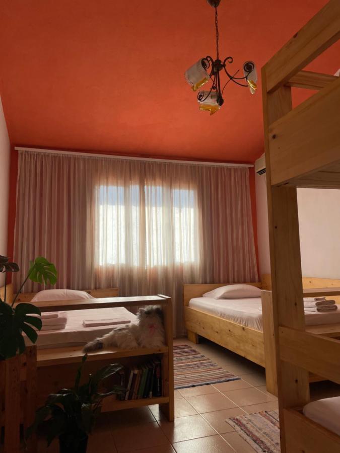Cozy Big Apartment With Balcony Tiranë Eksteriør bilde